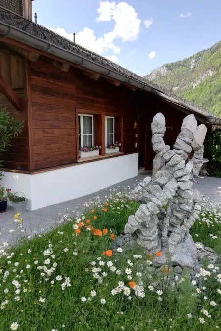 Steinideen, Appartement 5 personnes à Meiringen - Photo 3