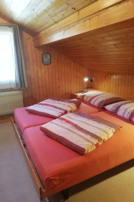 Steinideen, Appartement 5 personnes à Meiringen - Photo 13
