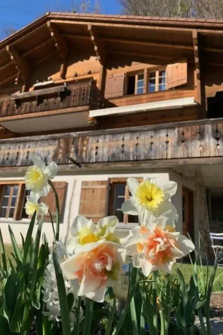 Sonnig und gemütlich, Appartement 2 personnes à Meiringen - Photo 5