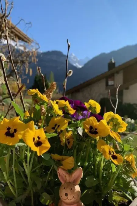 Sonnig und gemütlich, Appartement 2 personnes à Meiringen - Photo 9