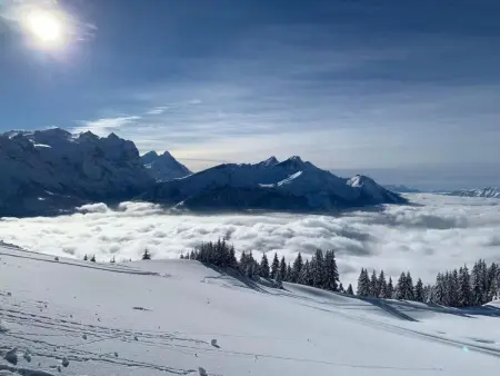 Sonnig und gemütlich, Appartement 2 personnes à Meiringen - Photo 26