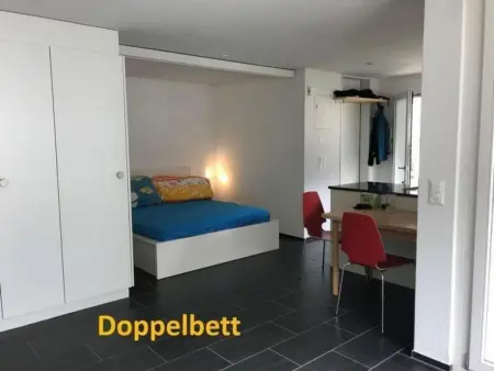 Studio Ruben 2-Bett Wohnung, Appartement 3 personnes à Meiringen - Photo 5