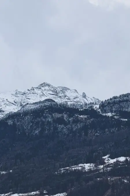 Mountain 4U, Appartement 6 personnes à Meiringen - Photo 20