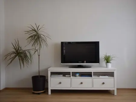 Gemeindematte „Sommer Bergbahnen inklusive“, Appartement 5 personnes à Meiringen - Photo 18