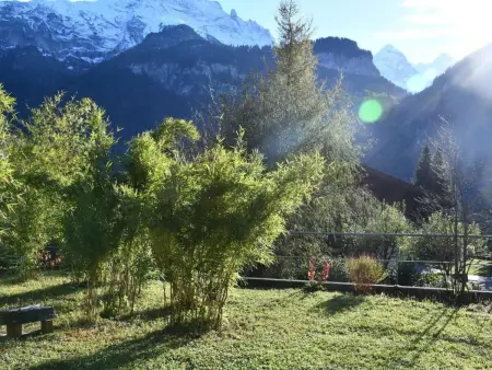 Chalet Wetterhorn, Maison 8 personnes à Meiringen - Photo 3