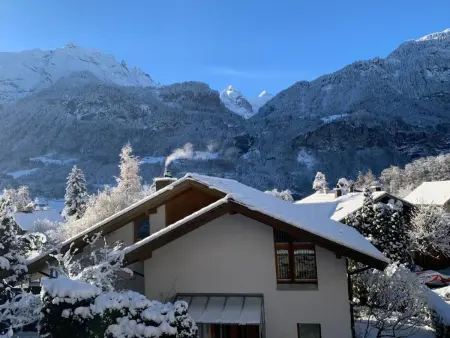Chalet Wetterhorn, Maison 8 personnes à Meiringen - Photo 35