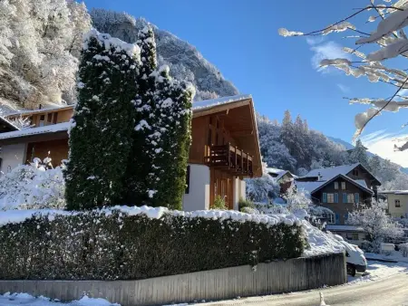 Chalet Wetterhorn, Maison 8 personnes à Meiringen - Photo 36