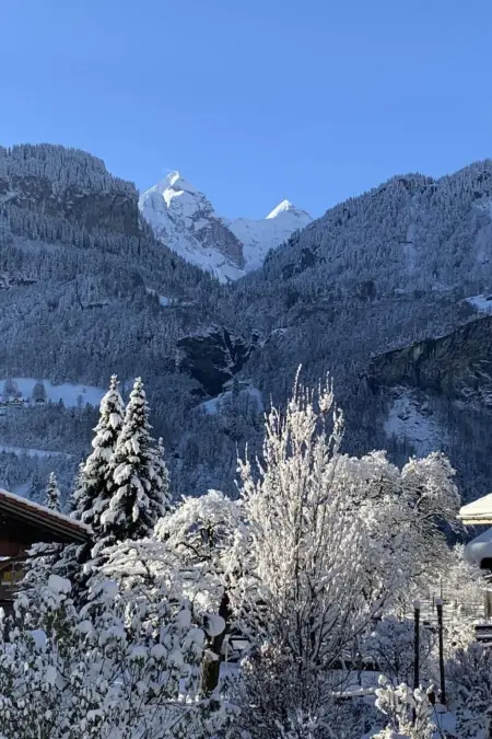Chalet Wetterhorn, Maison 8 personnes à Meiringen - Photo 37