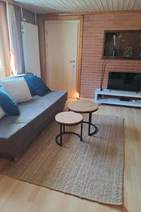 Appartement Gmeindmatte, Appartement 4 personnes à Meiringen - Photo 11