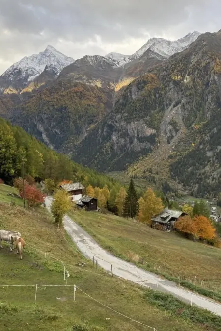 Chalet Spycher, Maison 4 personnes à St Niklaus - Photo 4