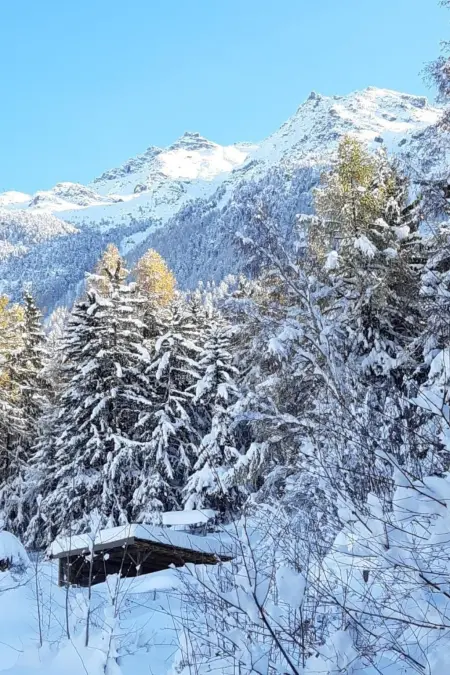 Schweiz Chalet,Grächen,St.Niklaus bis 10 Person - Photo 50