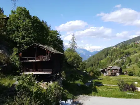 La Collina,Haus C,, Appartement 5 personnes à Grächen - Photo 13