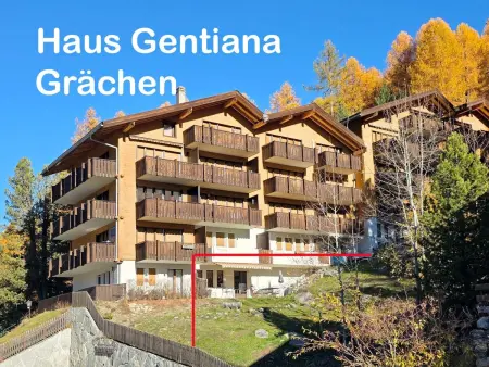 Gentiana Haus B, Appartement 2 personnes à Grächen - Photo 9