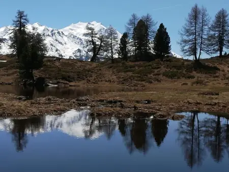 Moosalpe A, Appartement 4 personnes à Bürchen - Photo 10