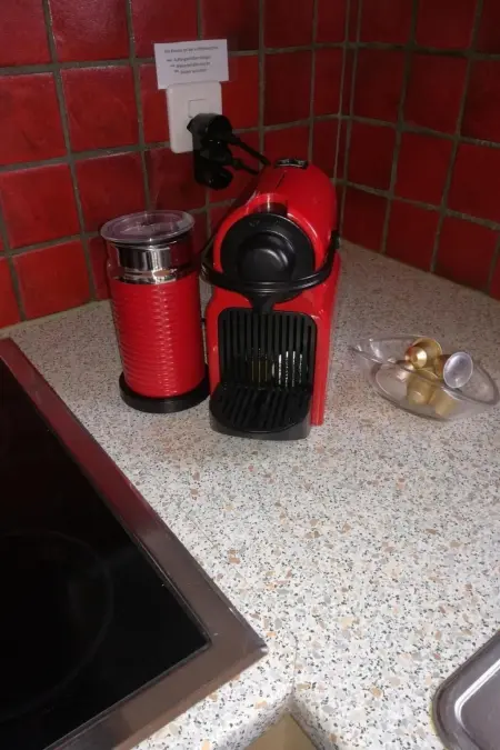 Moosalpe A, Appartement 4 personnes à Bürchen - Photo 20
