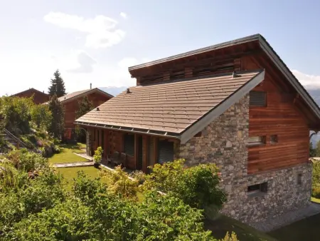 Blue Merle, Maison 4 personnes à Vercorin - Photo 1