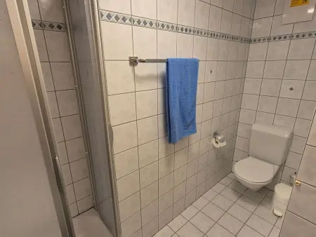 Belstar 2. OG Mitte, Appartement 2 personnes à Bellwald - Photo 14