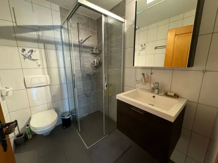 Aspa EG, Appartement 3 personnes à Bellwald - Photo 8