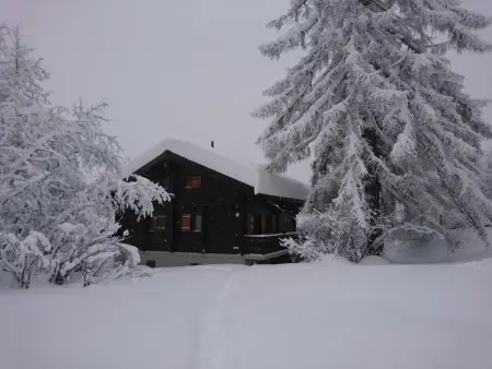 Chalet Abesiz, Maison 6 personnes à Bellwald - Photo 1