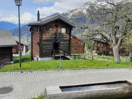 Stadel Sonnet, Maison 5 personnes à Bellwald - Photo 12