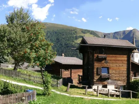Stadel Sonnet, Maison 5 personnes à Bellwald - Photo 18