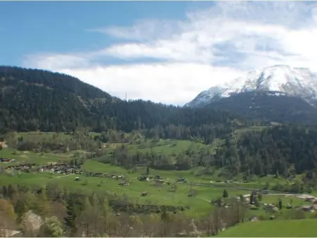 Plexat, Appartement 4 personnes à Fiesch - Photo 4