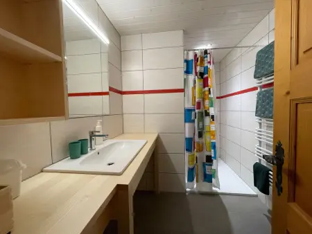 Plexat, Appartement 4 personnes à Fiesch - Photo 6