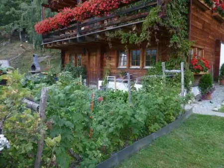 am Giebelsbach, Appartement 4 personnes à Fiesch - Photo 2