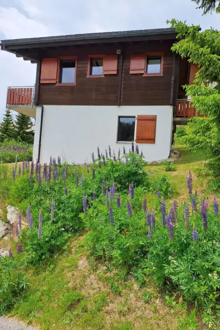 Chalet Brunnquell, Maison 6 personnes à Bettmeralp - Photo 8