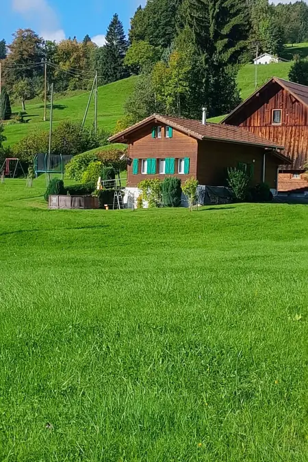 Giswil, Maison 5 personnes à Giswil - Photo 21