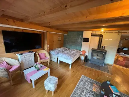 House in the Clouds, Appartement 5 personnes à Brünig - Photo 18