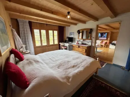 House in the Clouds, Appartement 5 personnes à Brünig - Photo 35