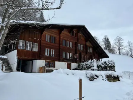 House in the Clouds, Appartement 5 personnes à Brünig - Photo 49