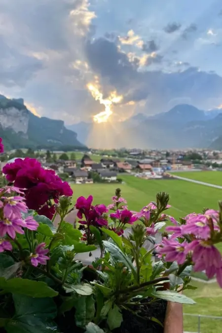 Aareschlucht - Erholung ab 2 Nächten, Appartement 6 personnes à Brünig - Photo 27