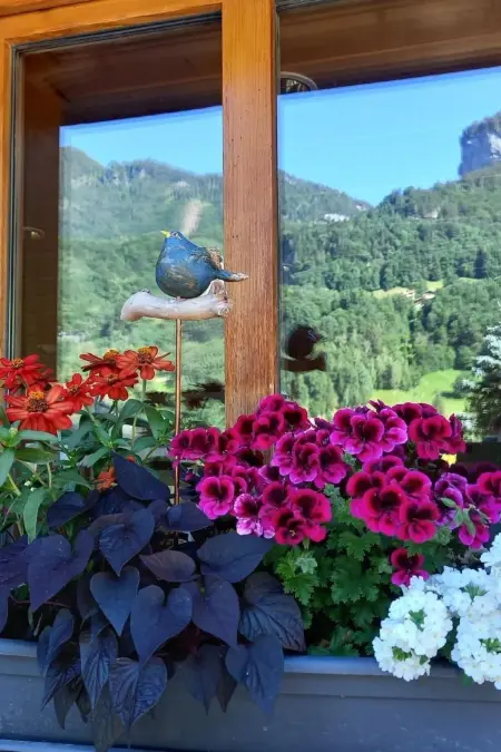 Aareschlucht - Erholung ab 2 Nächten, Appartement 6 personnes à Brünig - Photo 30