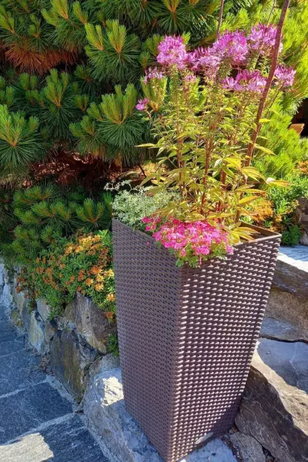 Aareschlucht - Erholung ab 2 Nächten, Appartement 6 personnes à Brünig - Photo 34