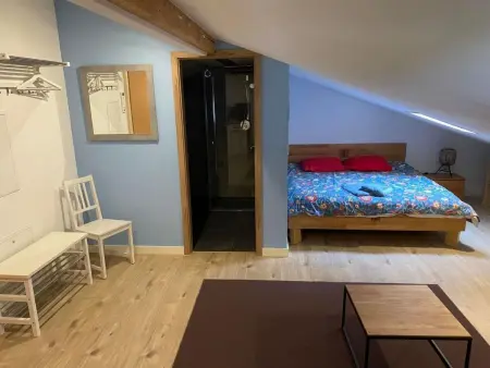 Spring Inn Apartment, Appartement 10 personnes à Brünig - Photo 25