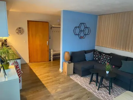 Spring Inn Studio, Appartement 4 personnes à Brünig - Photo 3