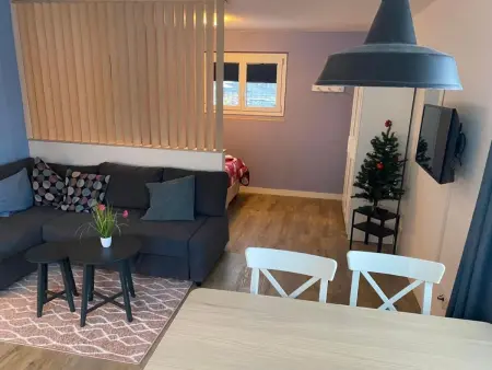 Spring Inn Studio, Appartement 4 personnes à Brünig - Photo 4