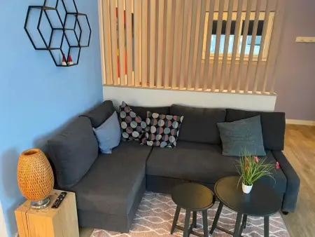 Spring Inn Studio, Appartement 4 personnes à Brünig - Photo 5