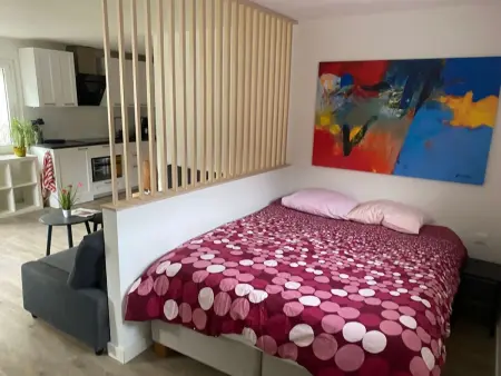 Spring Inn Studio, Appartement 4 personnes à Brünig - Photo 8