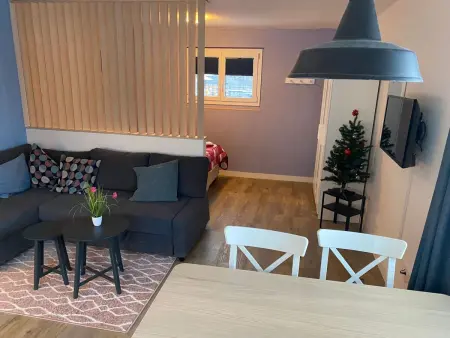 Spring Inn Studio, Appartement 4 personnes à Brünig - Photo 12