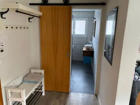 Spring Inn Studio, Appartement 4 personnes à Brünig - Photo 13