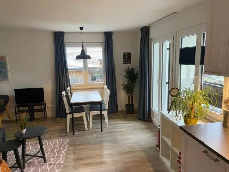 Spring Inn Studio, Appartement 4 personnes à Brünig - Photo 14