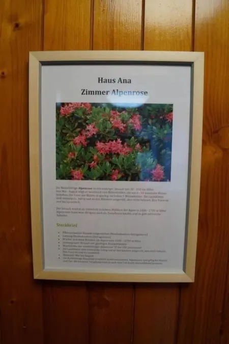 Haus Ana, Maison 13 personnes à Brünig - Photo 25