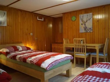 Haus Ana, Maison 13 personnes à Brünig - Photo 29