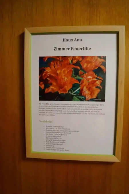 Haus Ana, Maison 13 personnes à Brünig - Photo 35
