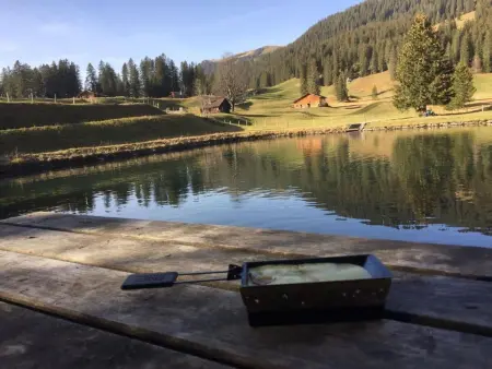mit Bergblick, Appartement 6 personnes à Hasliberg - Photo 29