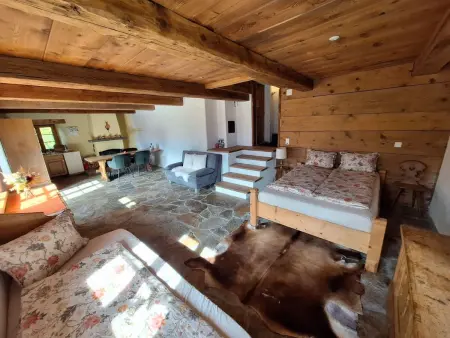 Rauft, Appartement 5 personnes à Hasliberg - Photo 17