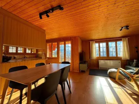 Chalet Bergruh, Appartement 5 personnes à Hasliberg - Photo 32